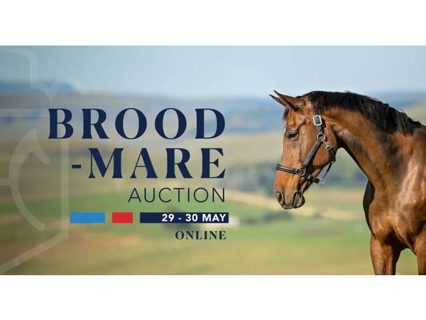 Capital Stud Broodmare Auction 2026